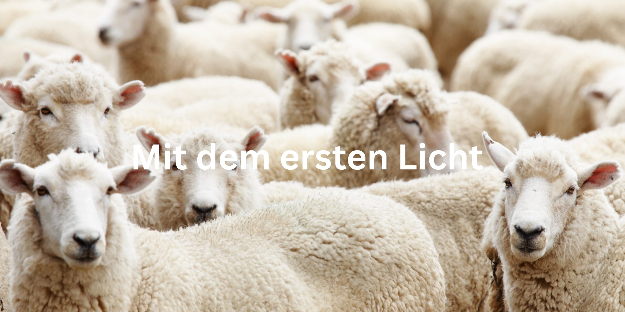 Unruh, Wilder und Knöppler – Rück- und Ausblick bei Leselust e.V.